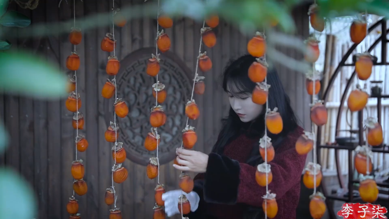 【美食】李子柒liziqi的精彩时刻 20230424 09点场