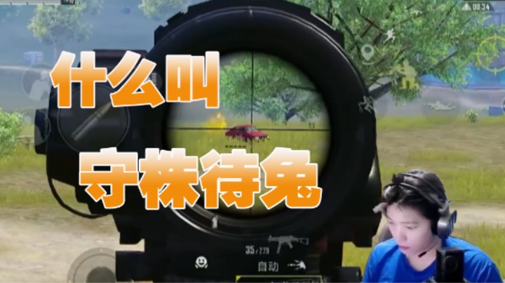 什么叫 守株待兔