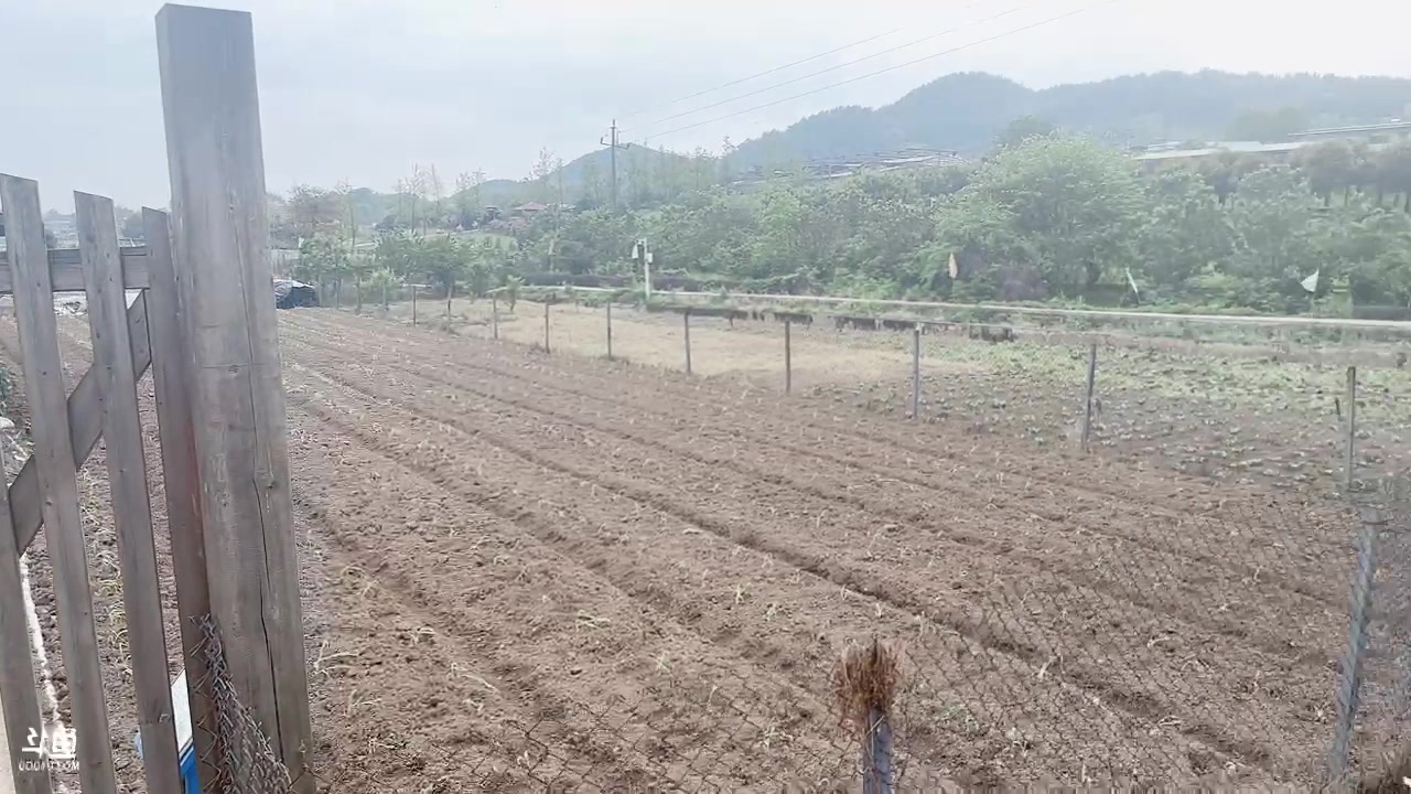 【2023-04-20 15点场】唐6儿：【小奶团】今天休息