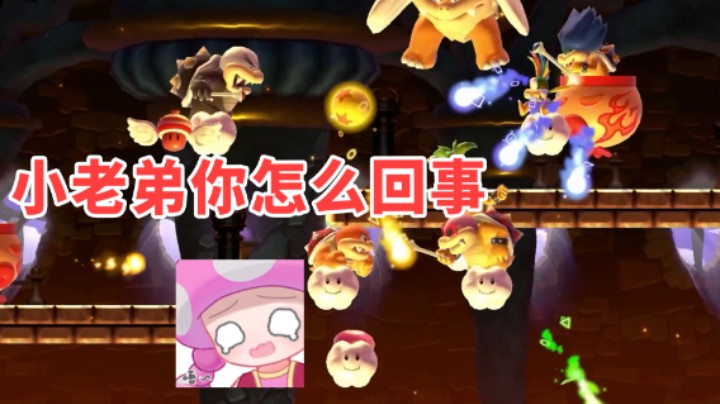 【白胖骚操作】113 期 - 你们不要再欺负小粉了！