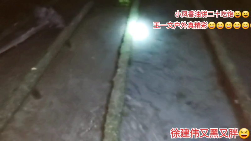 我在斗鱼看许文强户外直播户外