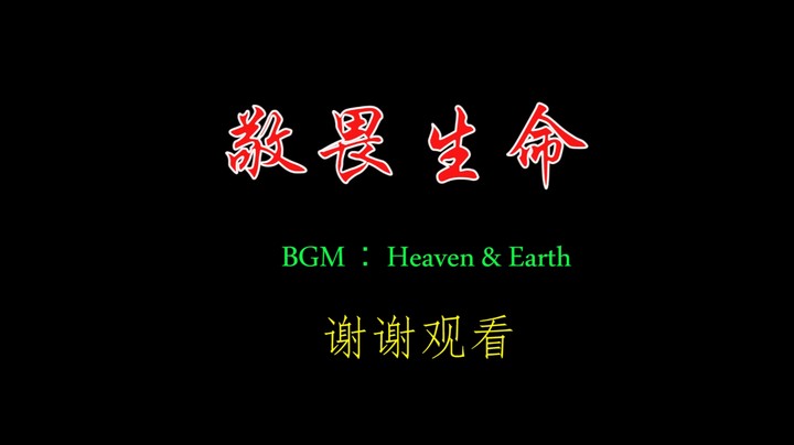 出行日记-感受生命