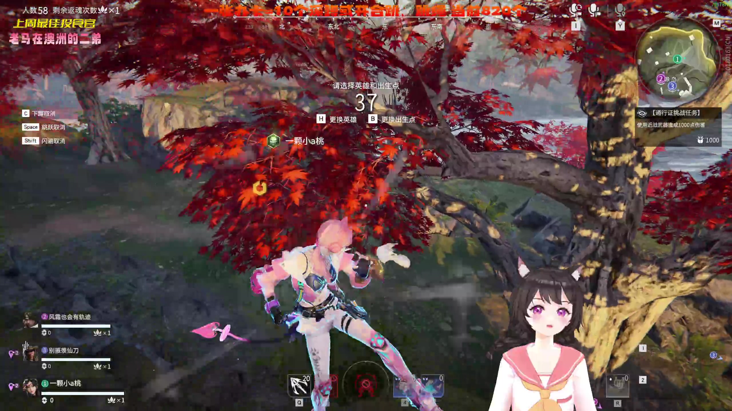 【2023-04-24 23点场】一颗小a桃：【小奶团】桃灵儿变强的第293天