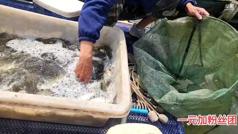 【户外】微山湖捕鱼武工队的精彩时刻 20230426 13点场