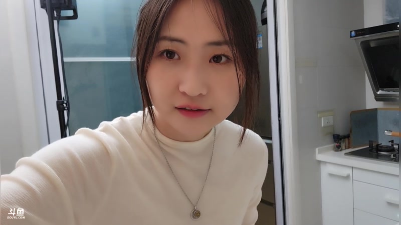 【2023-04-26 21点场】刘灶灶：双倍，猪肉大葱饺子。。。。