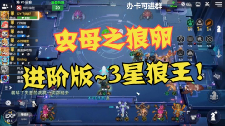 虫母之“狼”卵——满屏3星狼！还是进阶版