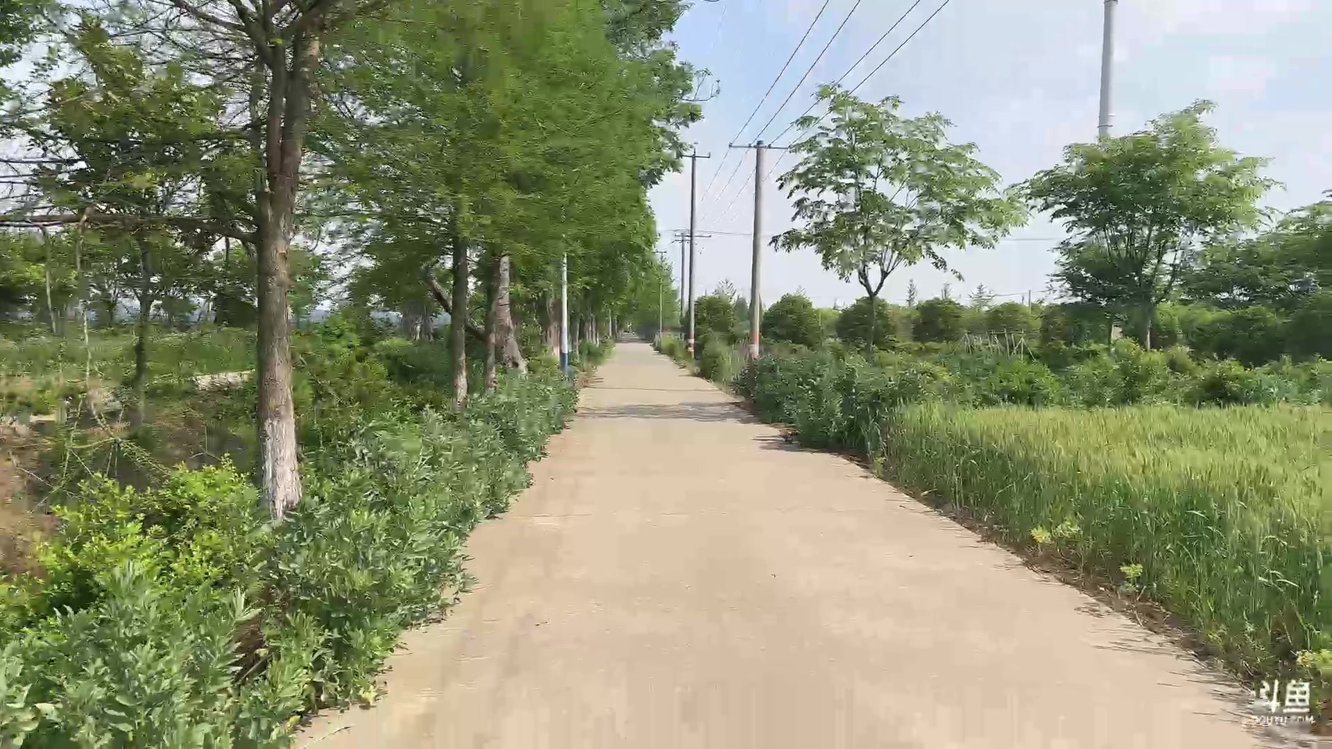 【2023-04-26 13点场】正经人令北：【令北】1元粉丝牌加双倍亲密度