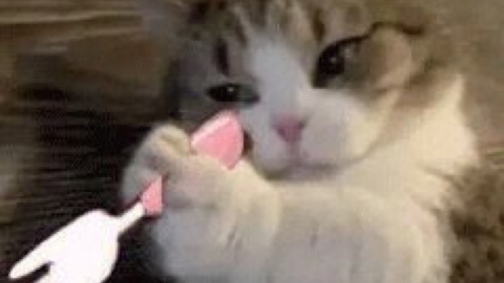 【2023-4-26 13点场】格诺天天开心:LOL躲猫猫乱战