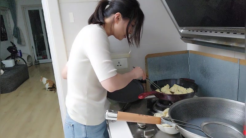 【2023-04-26 23点场】刘灶灶：双倍，猪肉大葱饺子。。。。