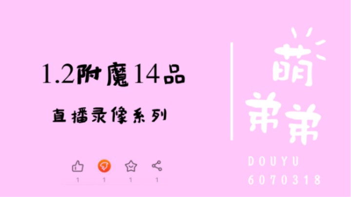 1.2附魔14品