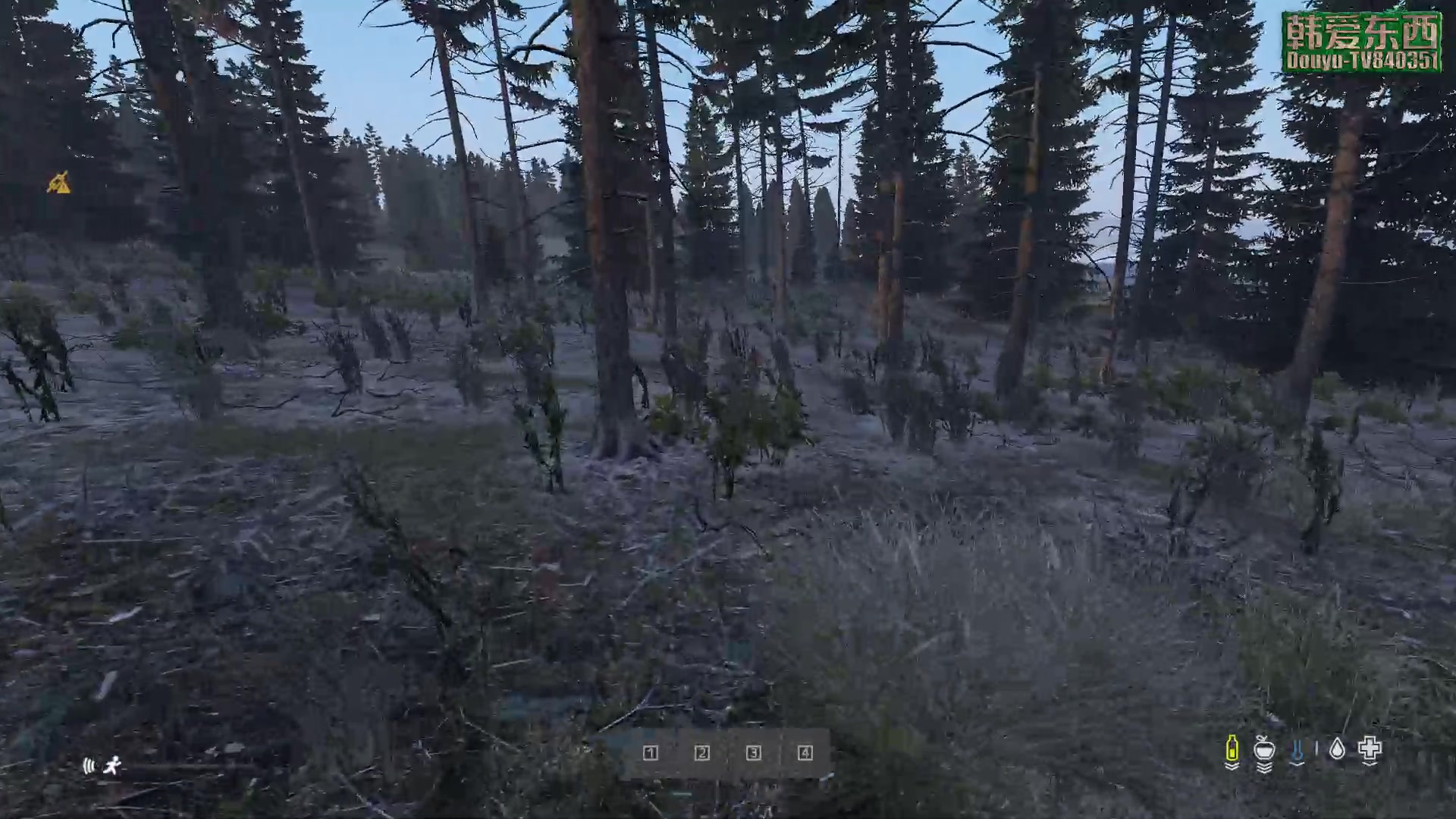 【2023-04-27 17点场】dayz韩爱东西：纳马斯克荒岛余生