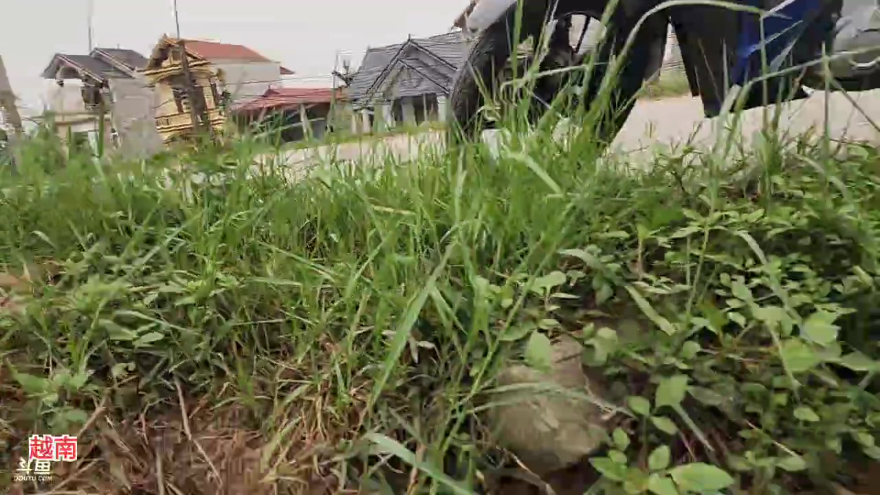 【2023-04-22 15点场】叶子户外：《纪实直播》越南day5