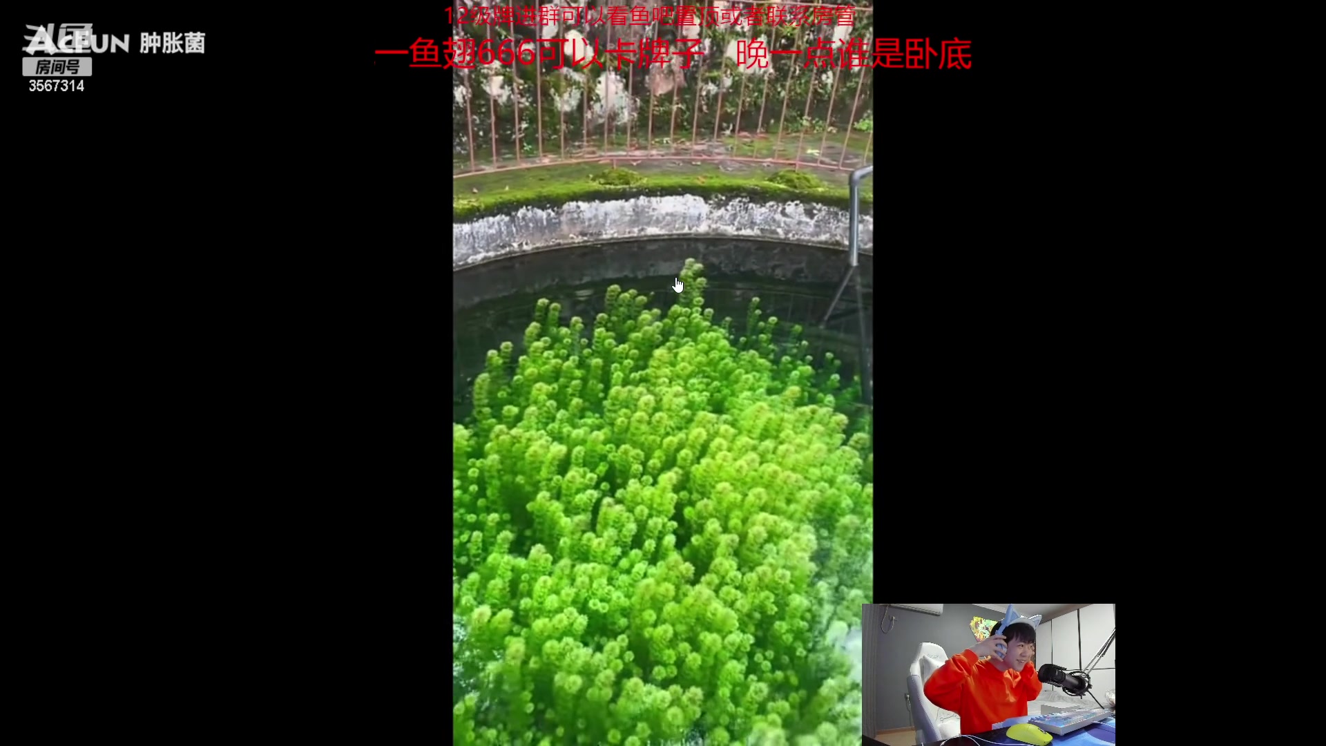 【2023-04-28 21点场】王纪超666：钻石双倍:一元粉丝牌水友赛
