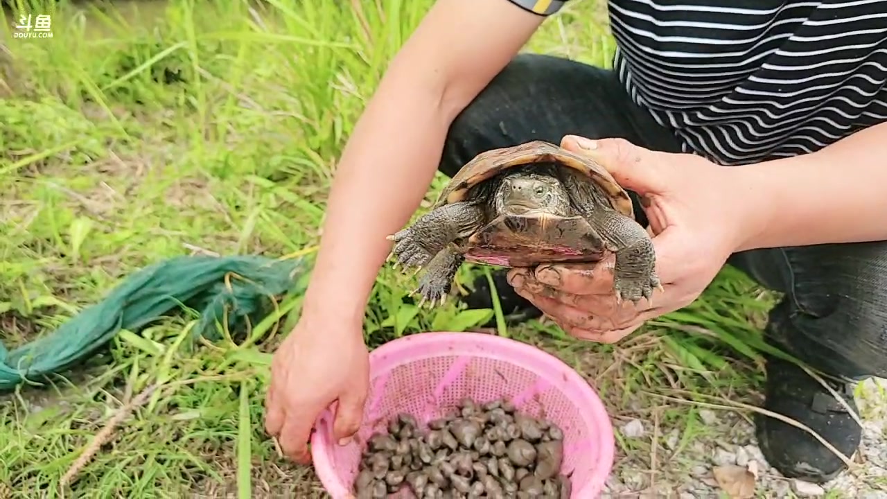 【2023-04-28 16点场】洪湖小肖：家人们这些天会有点事