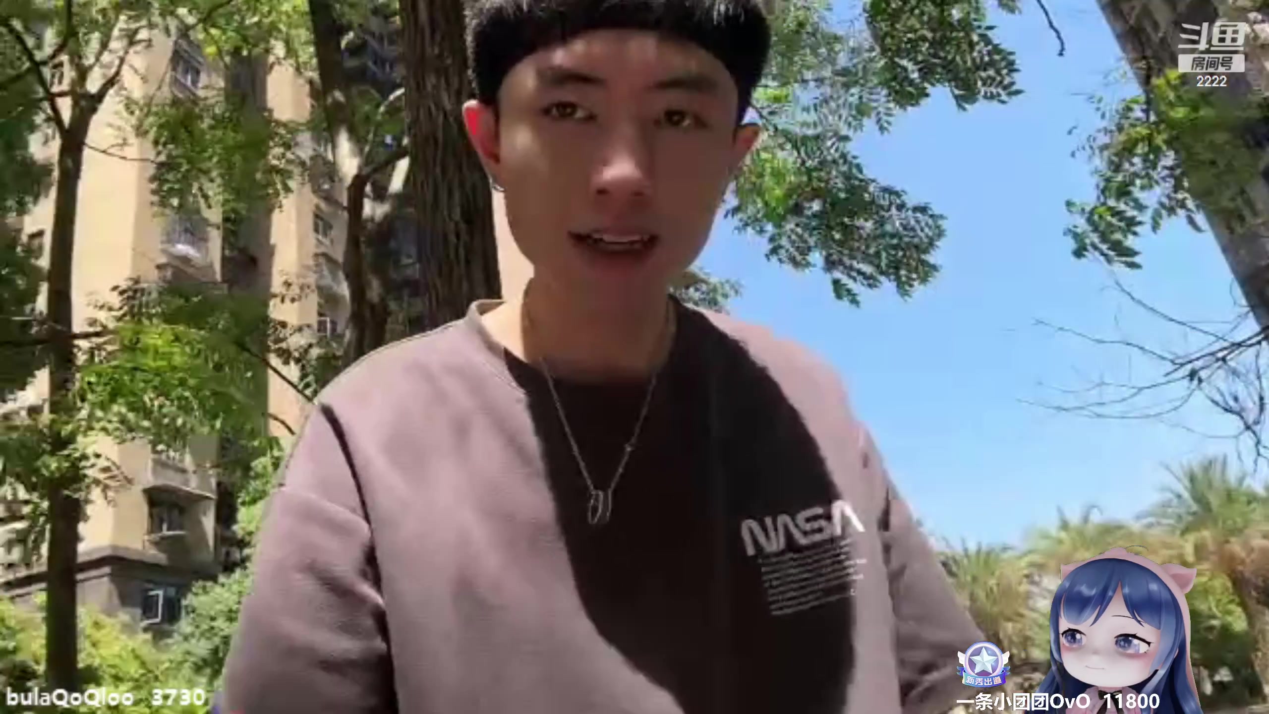 【2023-05-01 13点场】一条小团团OvO：51~活动来啦~