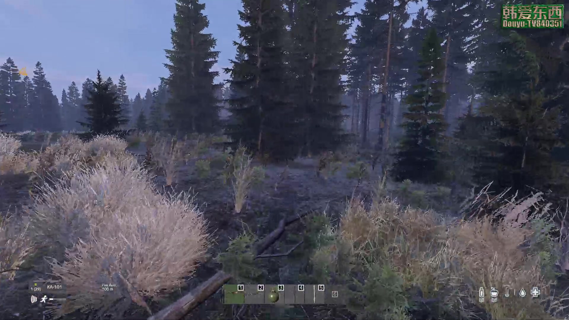 【2023-05-01 15点场】dayz韩爱东西：纳马斯克荒岛余生