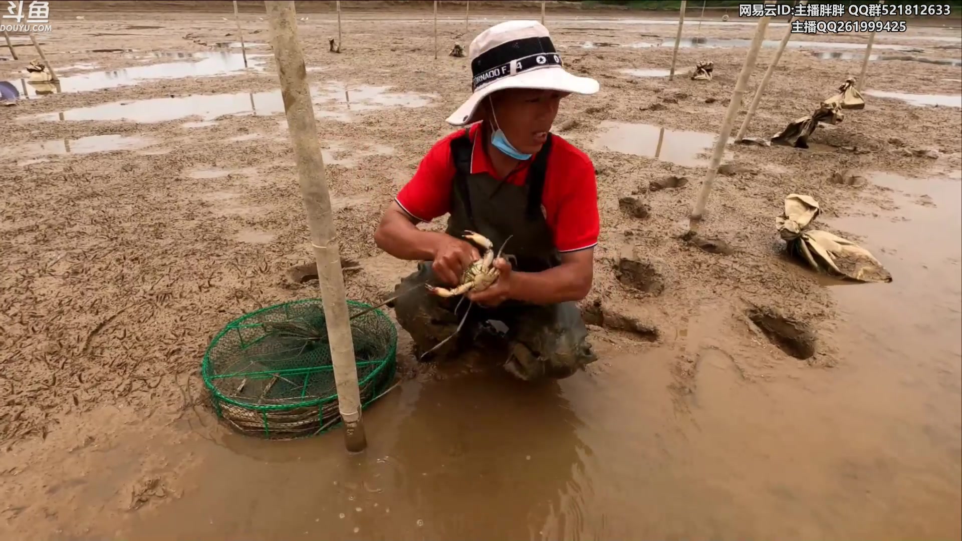 【2023-05-01 03点场】胖胖灬：胖胖OB：欧服 BLG VS 越南