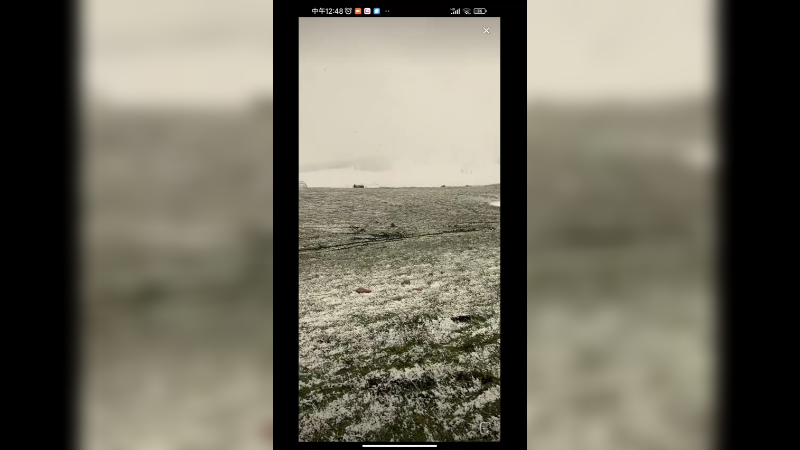 今天5月2日，南方是夏天了，新疆还在下雪呢