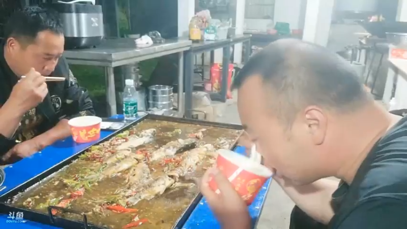 五毒和强哥吃鱼，真是美滋滋，吃的香啊