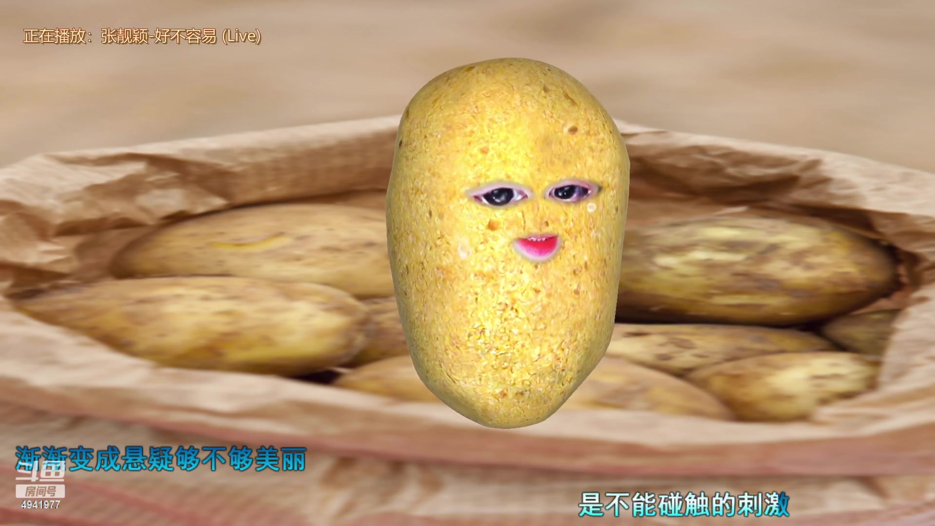 【2023-05-02 13点场】晒网的慧儿呀：小狗的世界里只有偏爱