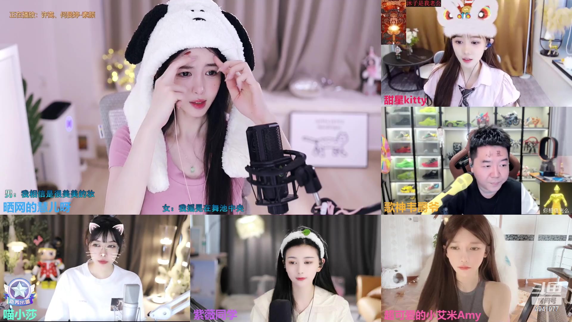 【2023-05-03 11点场】晒网的慧儿呀：早上起不来的小狗