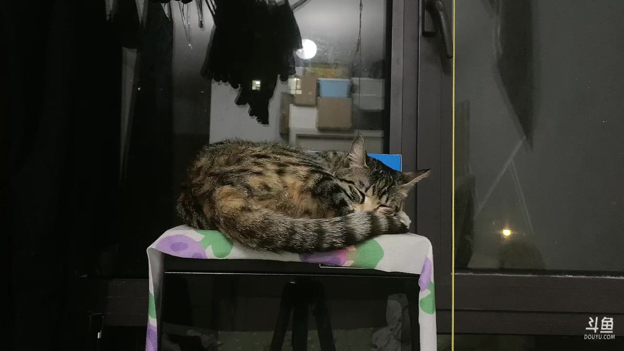 【2023-05-03 19点场】尘好奇：日常直播摄像头