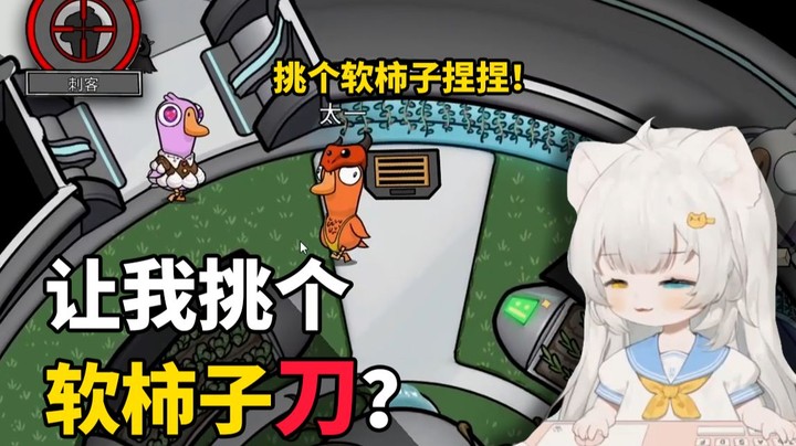 太一这个意见提的很好，你是最软的