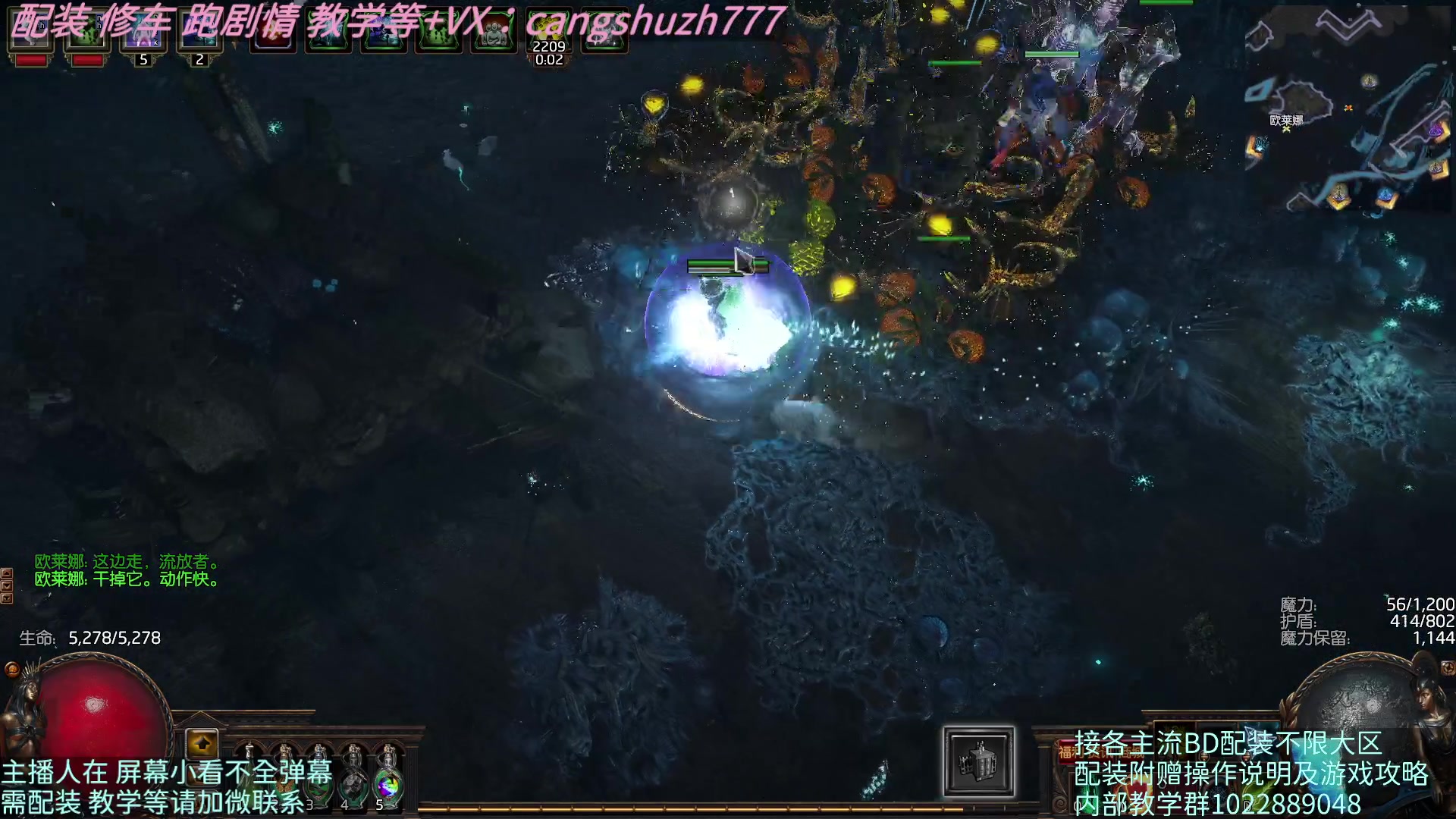 【2023-05-04 10点场】仓鼠召唤：主攻召唤 赛季最强BD专业配装
