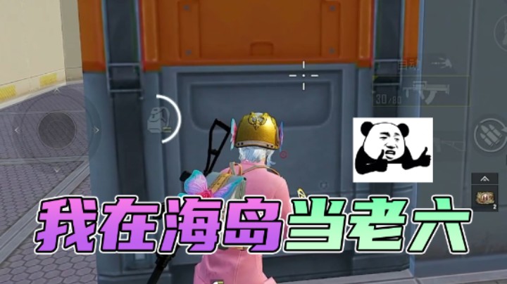 重生之我在海岛当老六