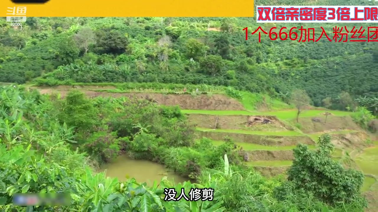 【2023-05-05 04点场】呆妹儿小霸王：【黄金双倍】今天有1元粉丝牌