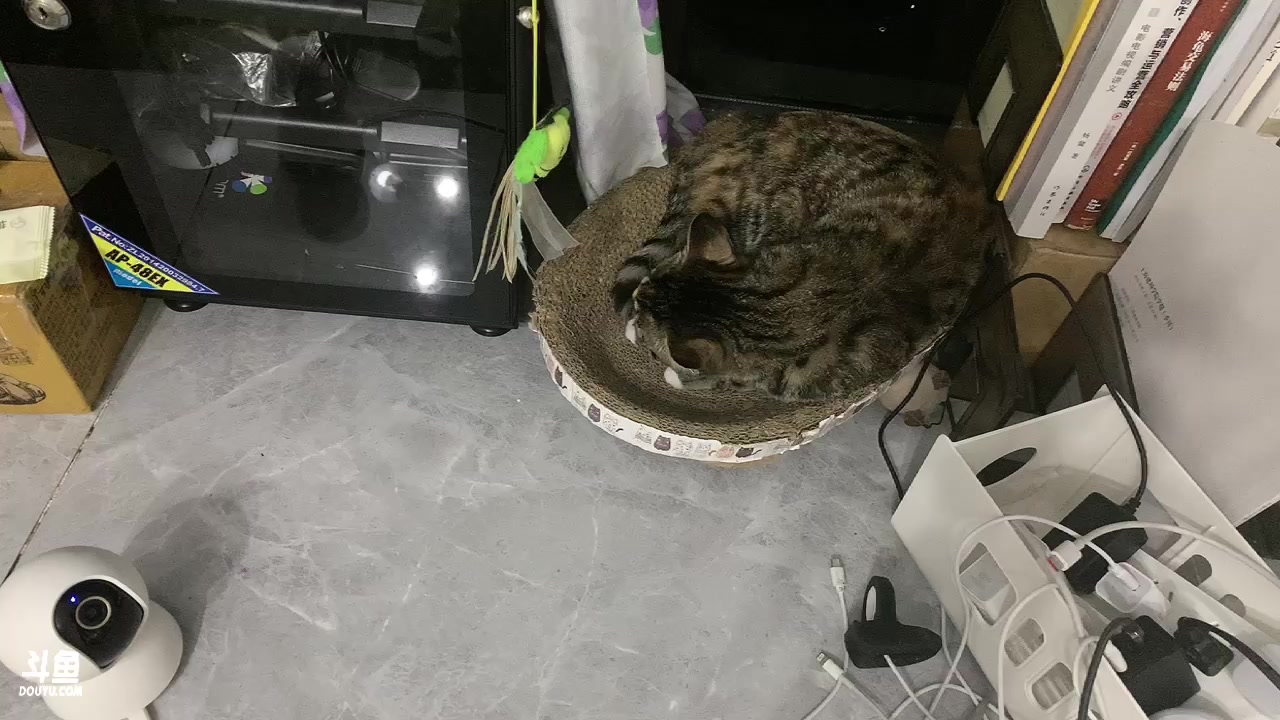【2023-05-04 19点场】尘好奇：日常直播摄像头