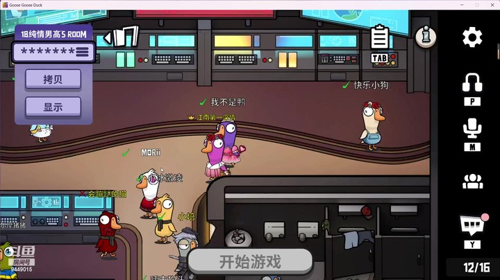 【2023-5-2 22点场】鹅鹅