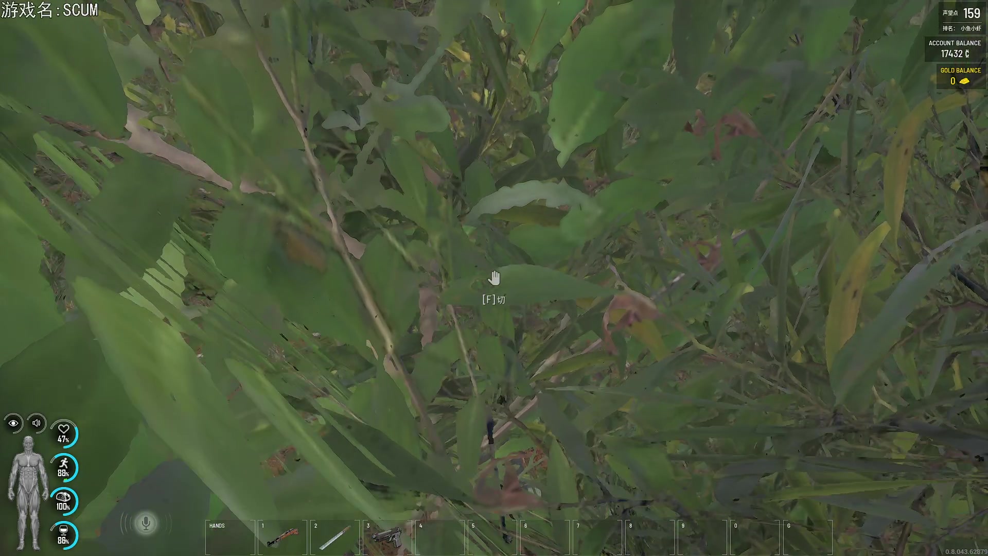 【2023-05-05 20点场】巴格拉斯：热爱生活，走进巴叔