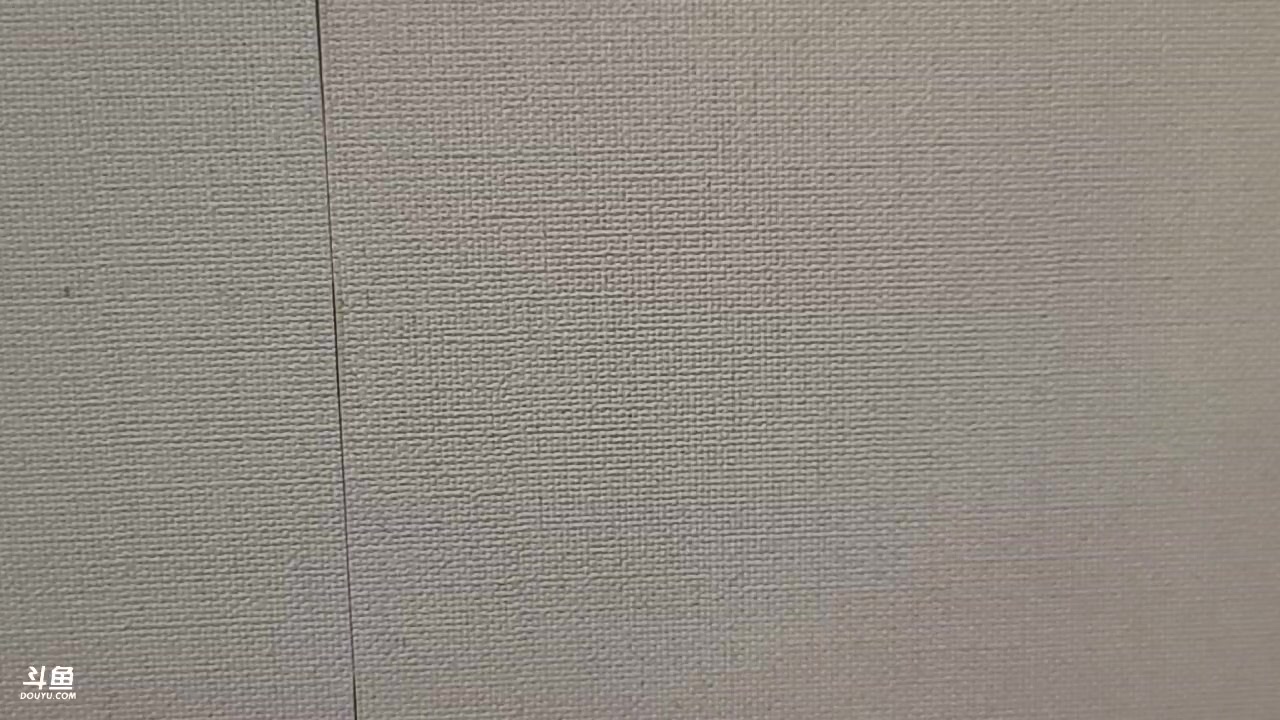 【2023-05-05 17点场】火力堂主：划水直播！ 241123