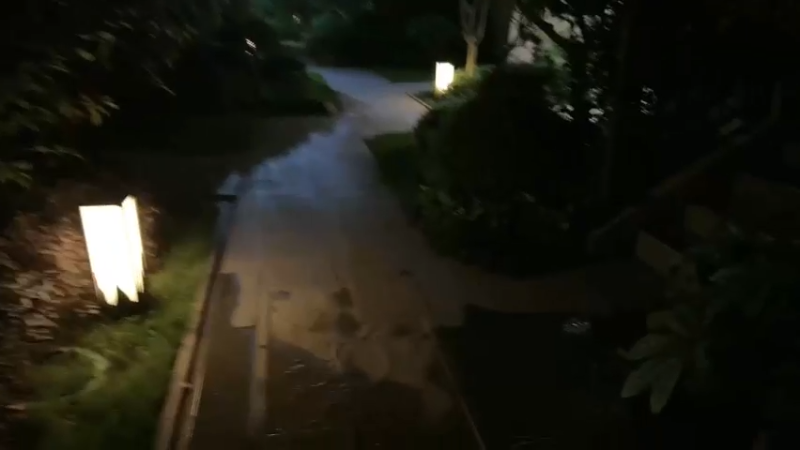 【2023-05-05 19点场】胸肌很大的良小伞：19:30大龙刷新黄金双倍！巨龙族集合！