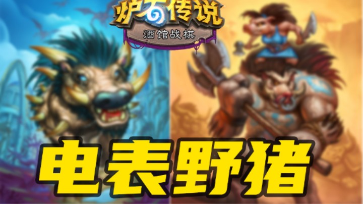 太强辣！我要为野猪人正名【涛妹每日秀】