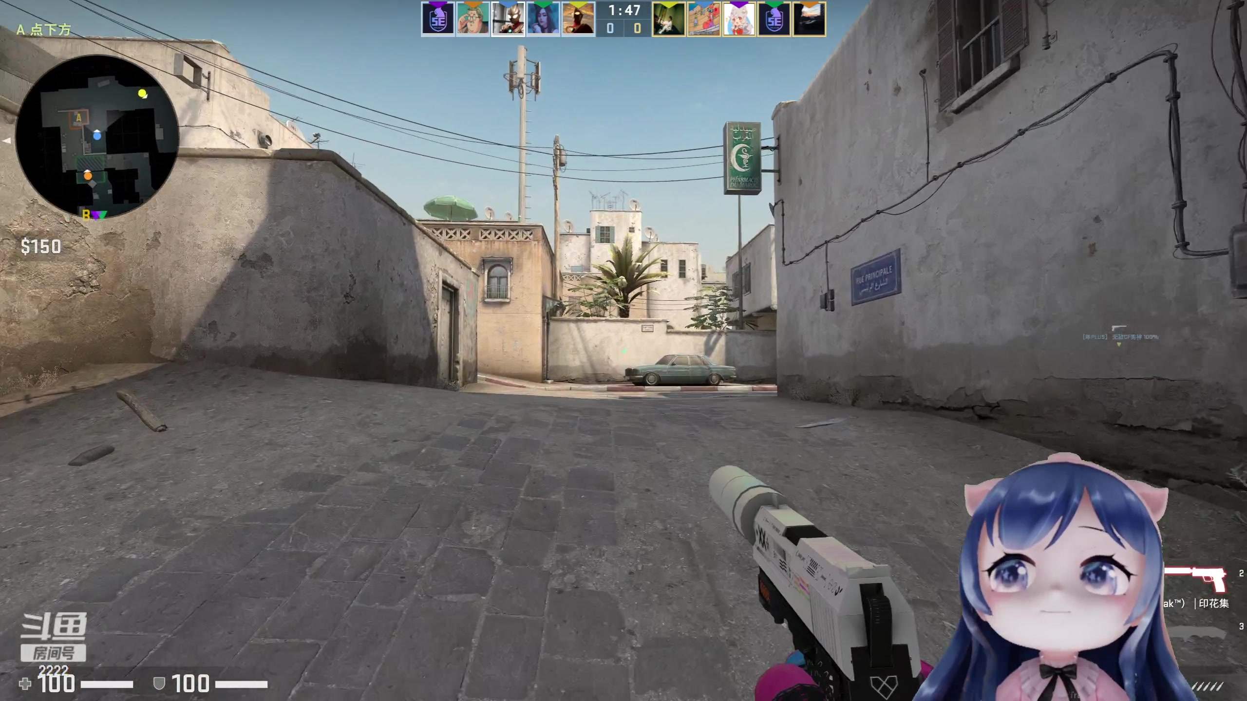 【2023-05-06 21点场】一条小团团OvO：治愈直播间~最爱哔哔赖赖~