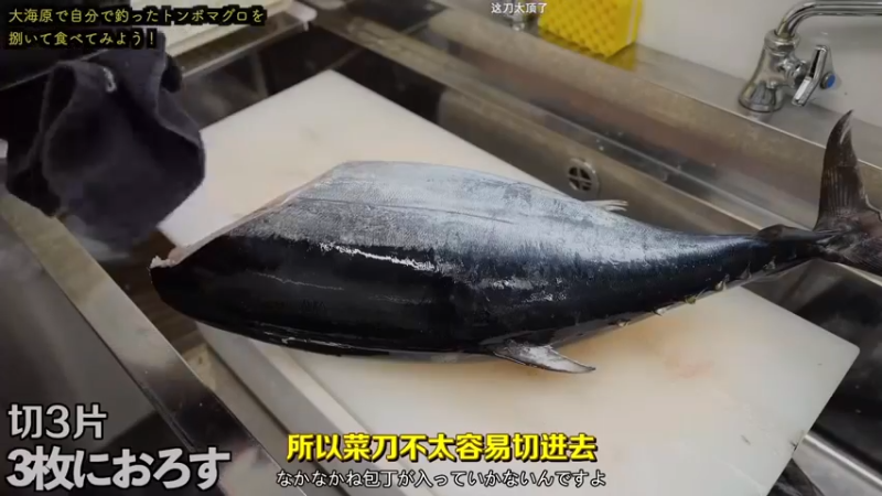 【2023-05-06 19点场】小粥泥浆：关键词:又逆版本辣！