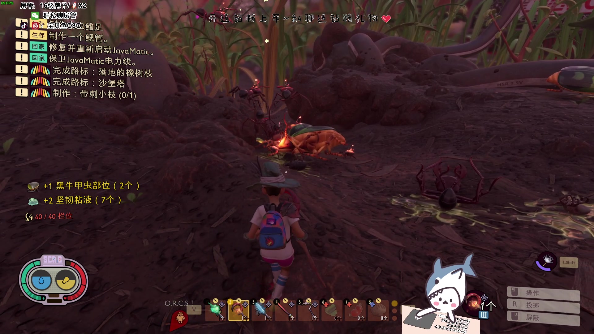 【2023-05-06 19点场】宝贝鱼O3O：我是巧克力 乖巧可爱又努力