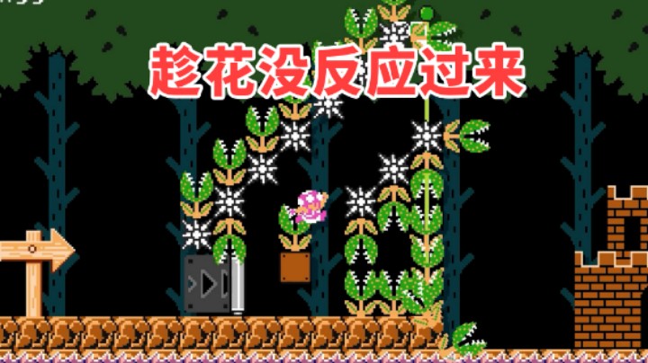 【白胖骚操作】115 期 - 马师傅 给他们一点小小的钻洞震撼