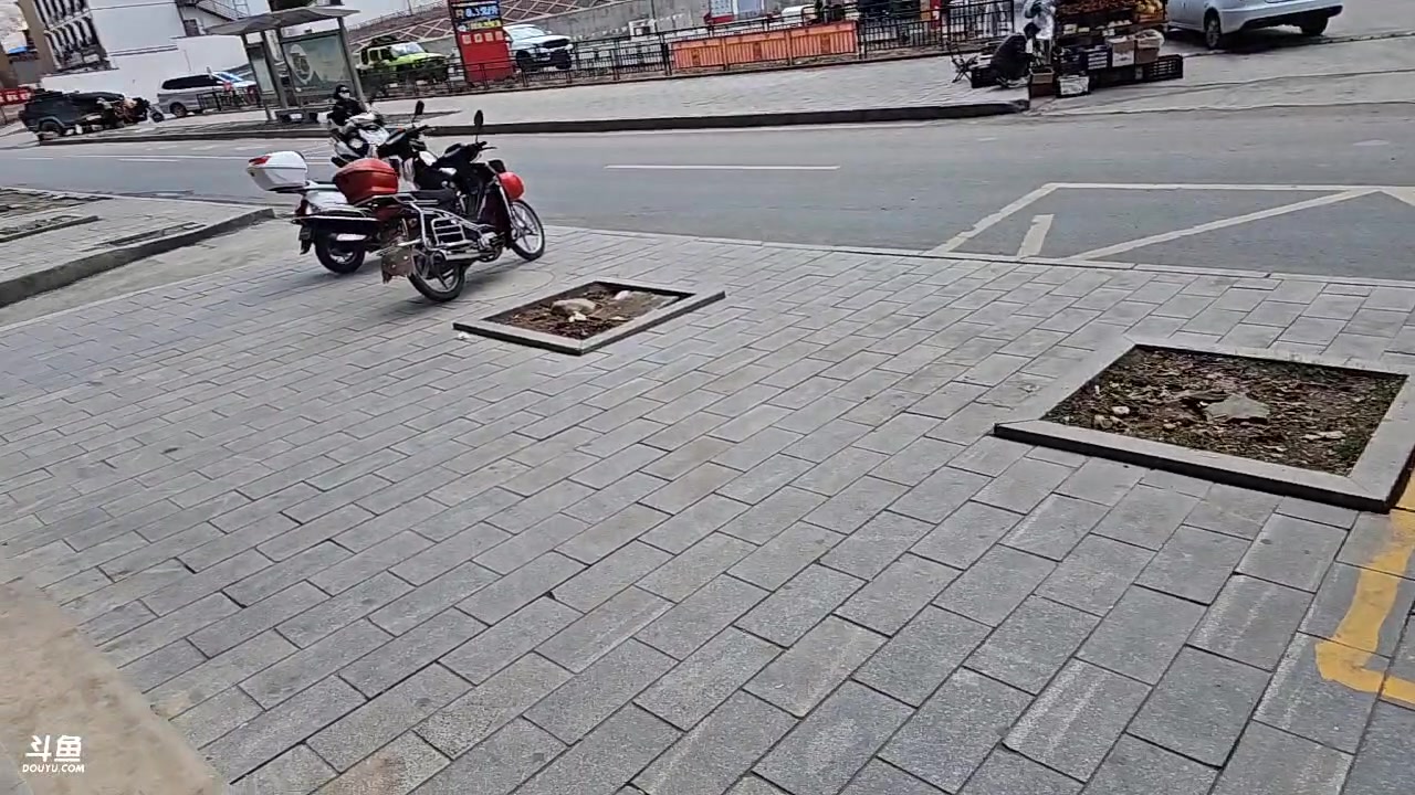 【2023-05-06 12点场】蓝战非OvO：藏区看冰川！环游第53天