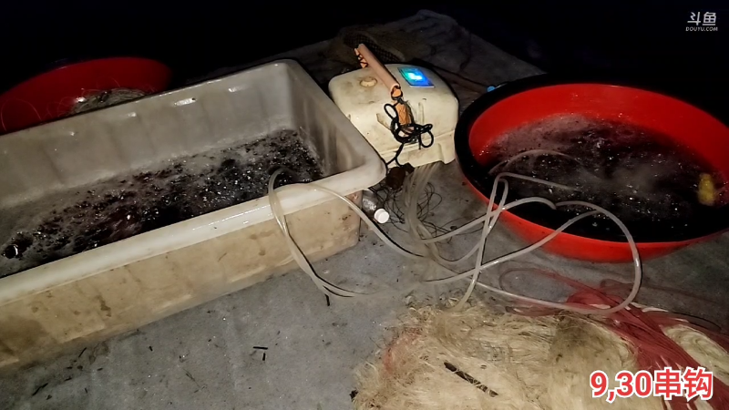 【户外】微山湖捕鱼武工队的精彩时刻 20230506 00点场