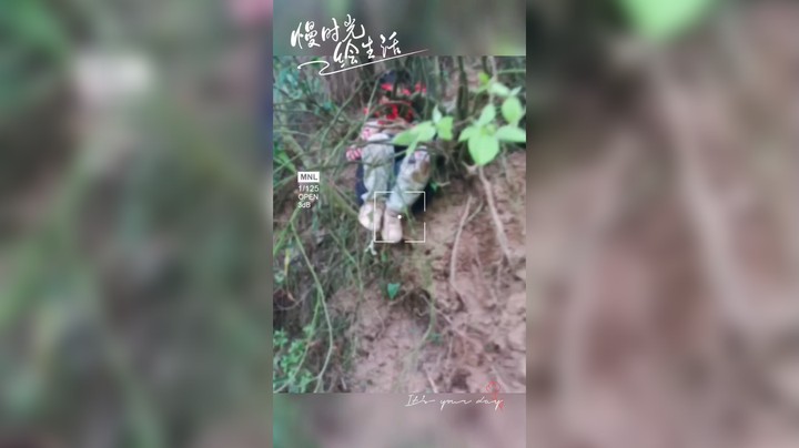 男人看电竞联盟学院发布了一个斗鱼视频2023-05-07