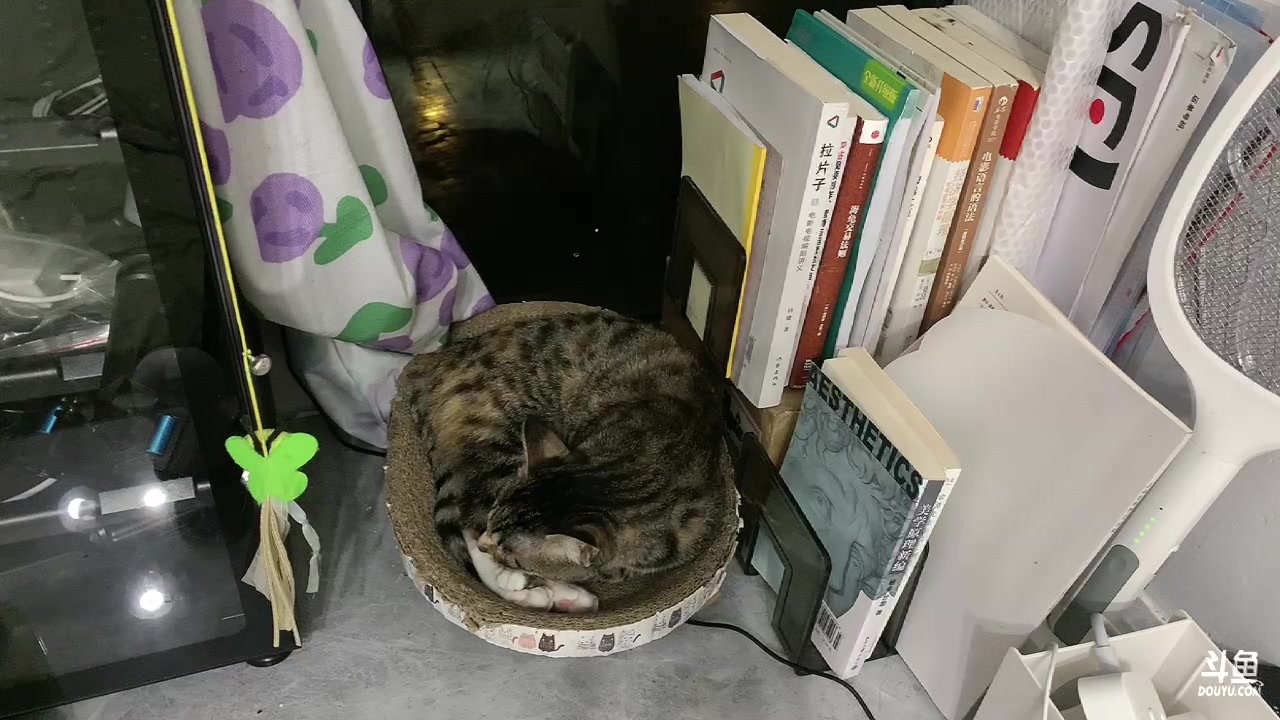 【2023-05-07 19点场】尘好奇：日常直播摄像头