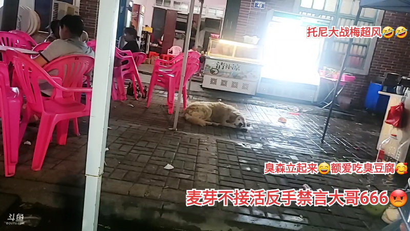 【户外】许文强户外的精彩时刻 20230508 00点场