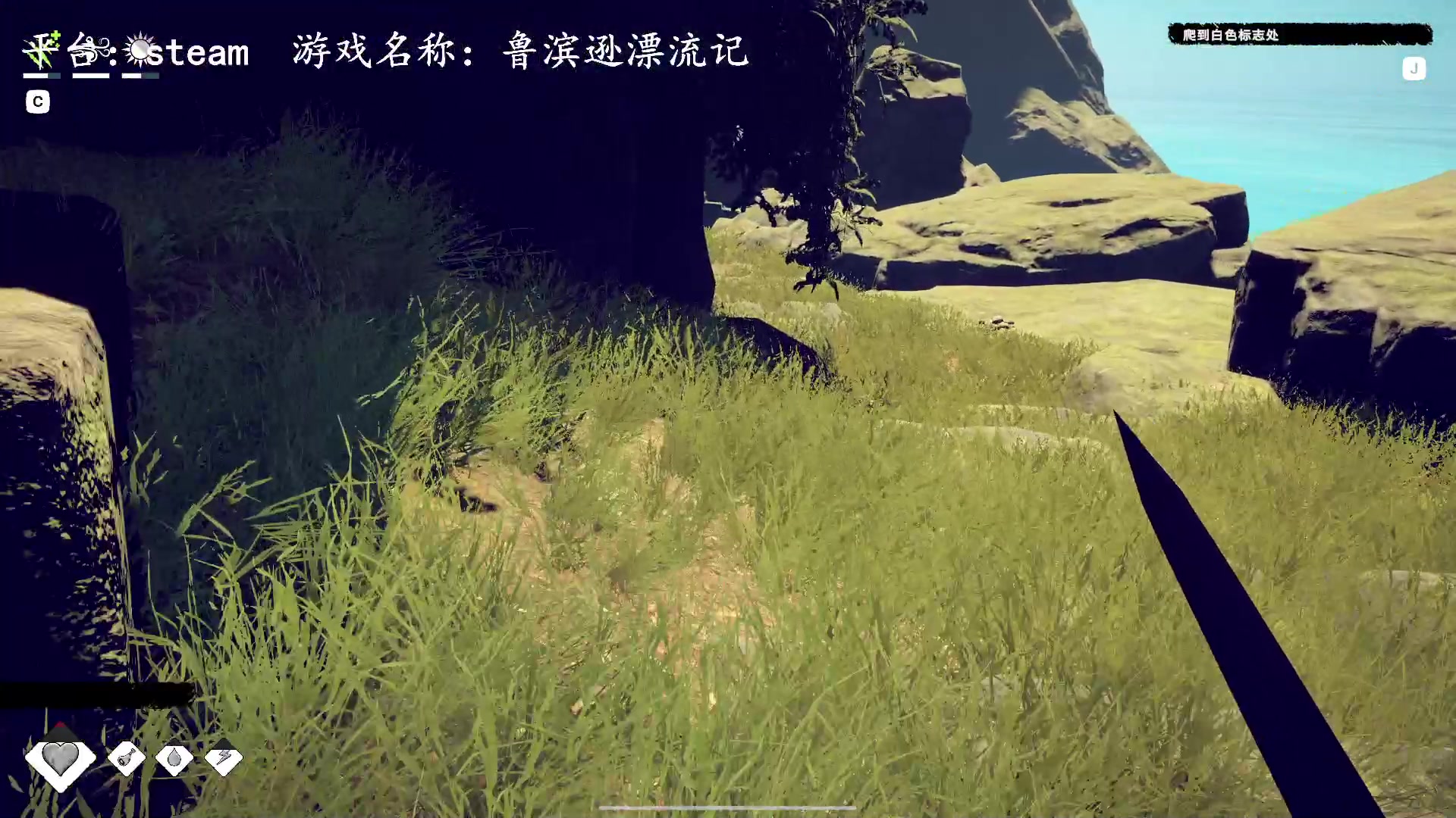 【2023-05-09 12点场】琼斯小卫：鲁宾孙漂流记游戏版