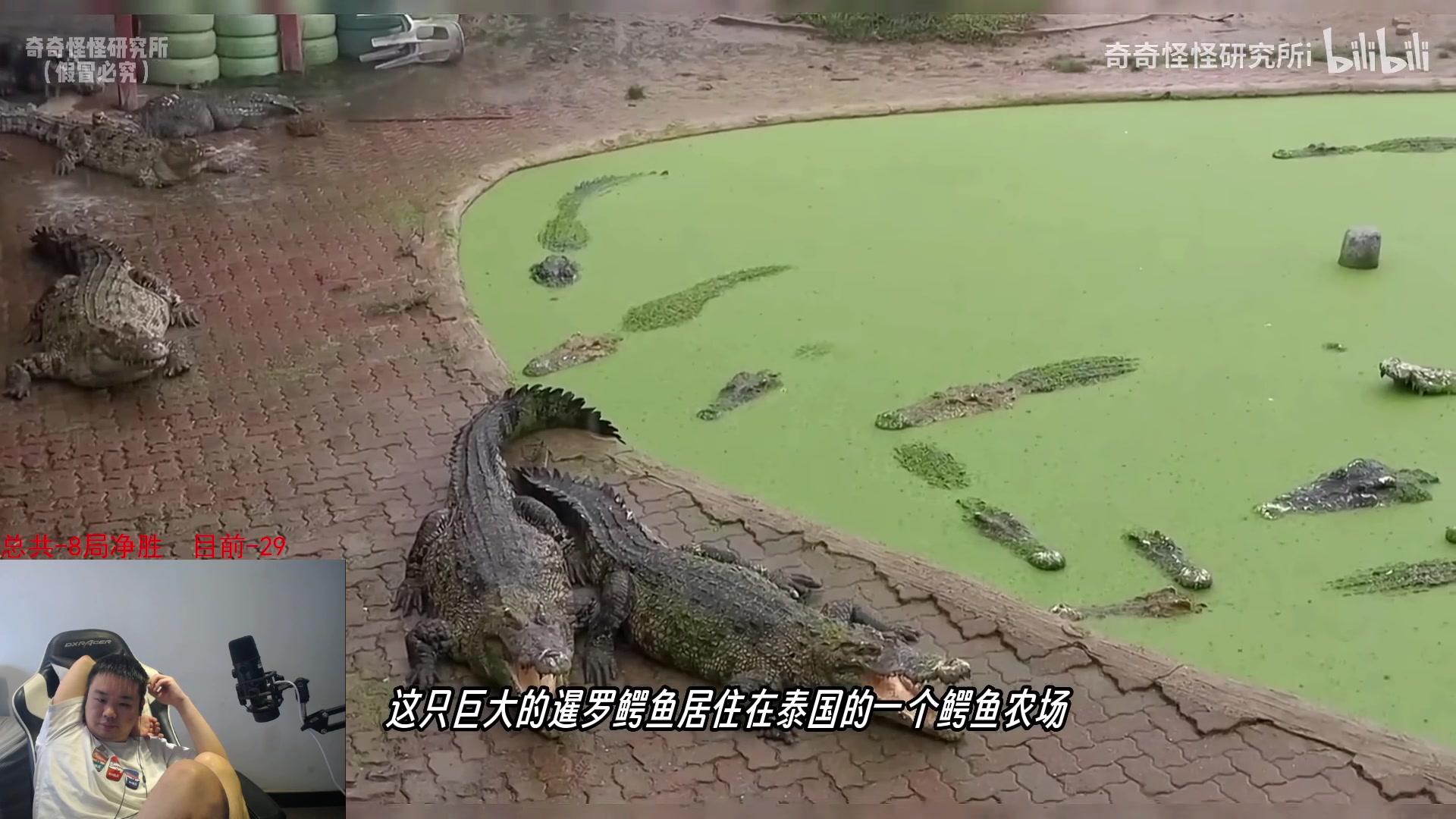 【2023-05-09 12点场】网友张顺飞：《自闭女孩》