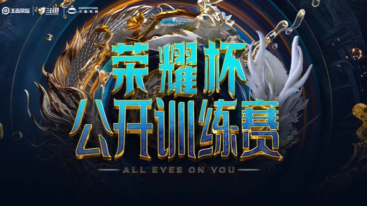 深圳DYG vs 东莞Wz 荣耀杯公开训练赛