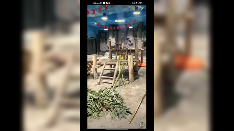 大熊猫会踢足球，厉害