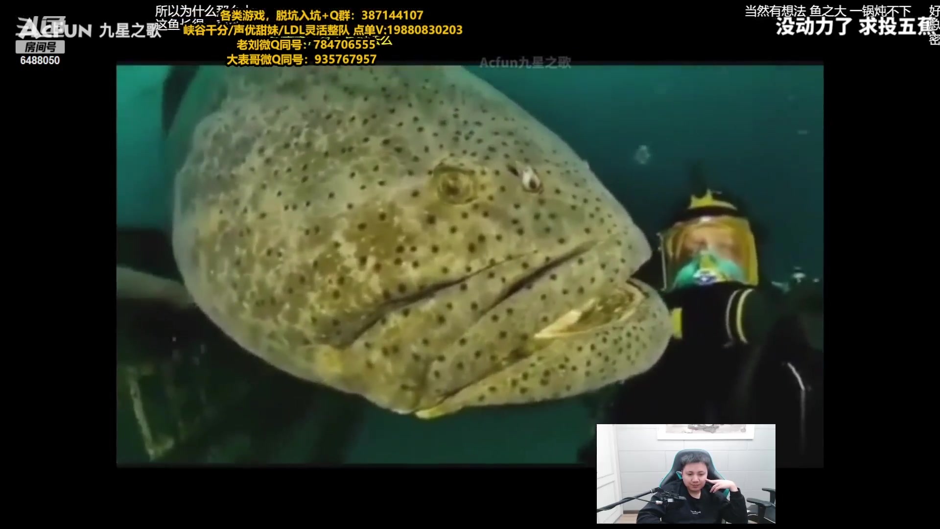 【2023-05-10 21点场】旋转的老刘诺手：R9999诺神 Q9999狗王！